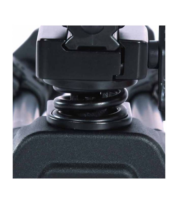 Bipode vanguard equalizer pro 1
