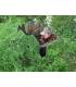 puesto de caza gosht blind de gamo waterfool