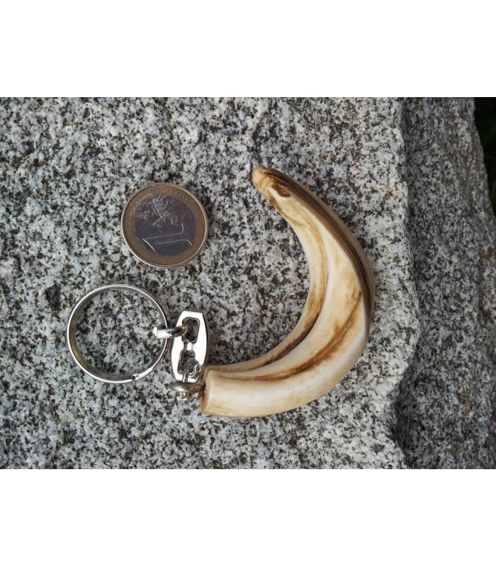 LLAVERO AMOLADERA DE JABALI